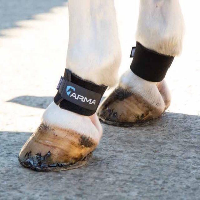 Arma Shires ARMA Pastern Wraps