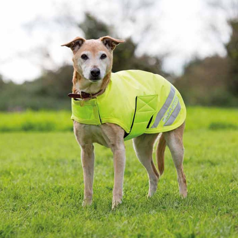 Shires EQUI-FLECTOR Waterproof Dog Coat Shires EQUI-FLECTOR Waterproof Dog Coat