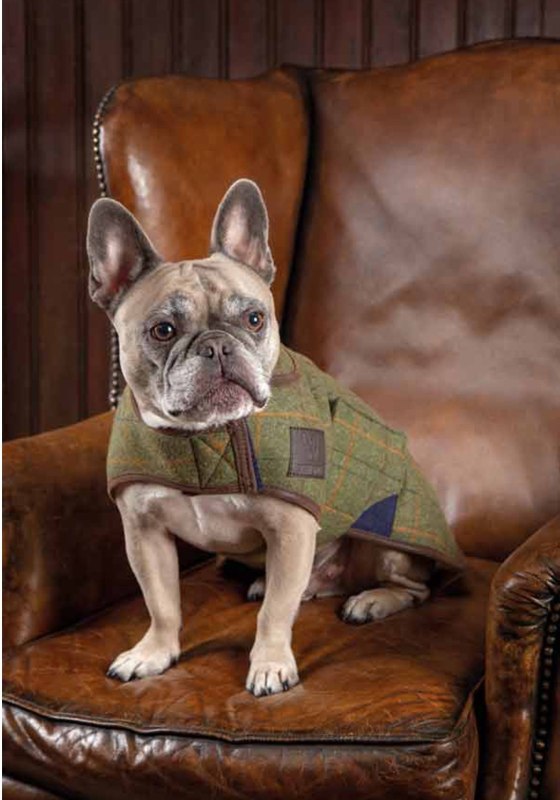 Shires Digby & Fox Tweed Dog Coat Shires Digby & Fox Tweed Dog Coat