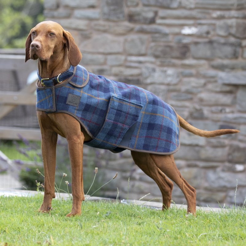 Digby & Fox  Shires Digby & Fox Tweed Dog Coat