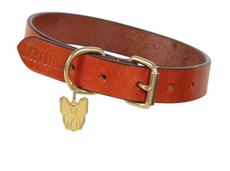 Shires Digby & Fox Flat Leather Dog Collar Shires Digby & Fox Flat Leather Dog Collar