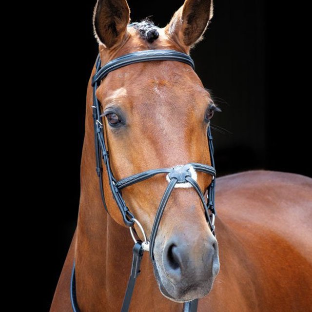 Salisbury Bridlework Shires Salisbury Brackley Bridle