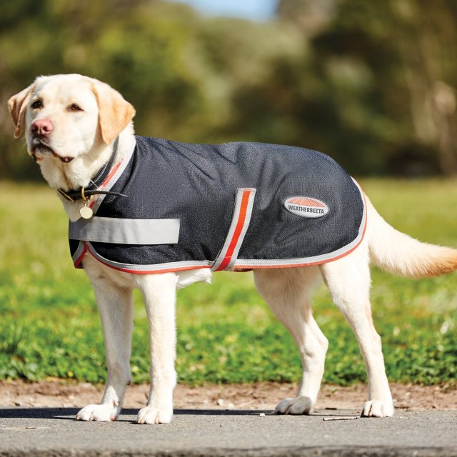 Weatherbeeta Products Weatherbeeta 1200D Therapy-Tec Dog Coat