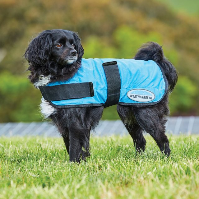 Weatherbeeta Products Weatherbeeta Therapy-Tec Cooling Dog Coat