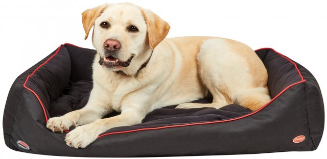 Weatherbeeta Products Weatherbeeta Therapy-Tec Dog Bed