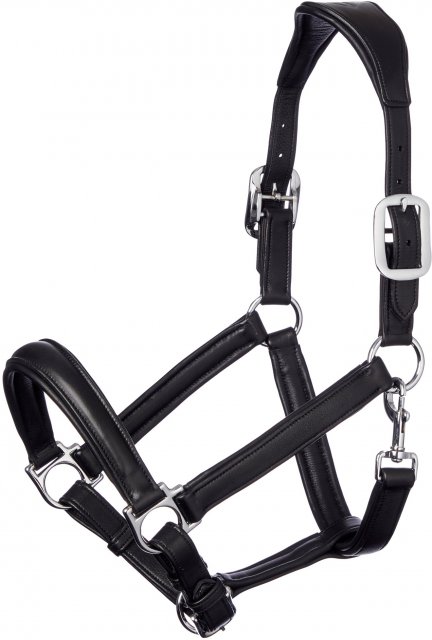 LeMieux LeMieux Anatomic Leather Headcollar Black