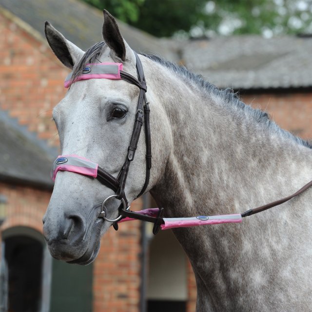 Weatherbeeta Products WeatherBeeta Reflective Bridle Kit 4 Piece Pink