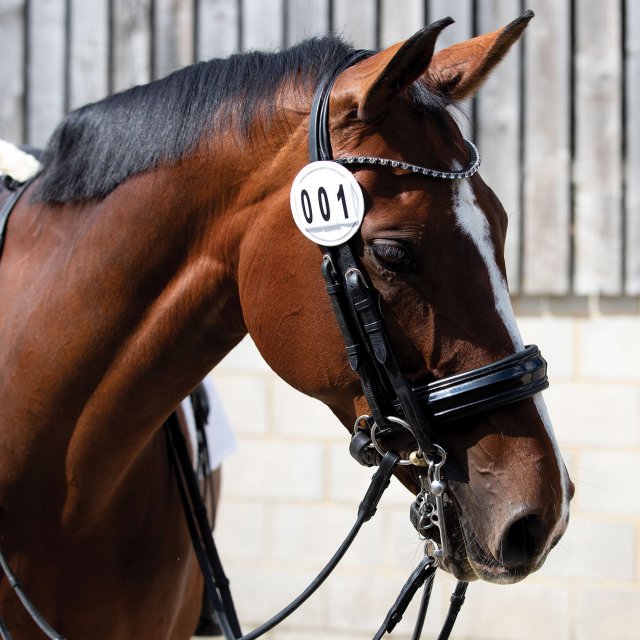 Equetech Equetech Deluxe Bridle Competition Numbers