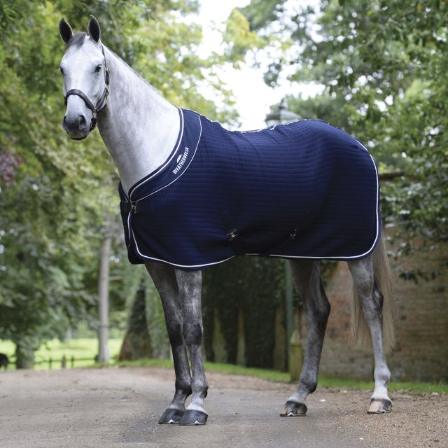 Weatherbeeta Horse Rugs WeatherBeeta Thermocell Cooler Standard Neck Navy/White