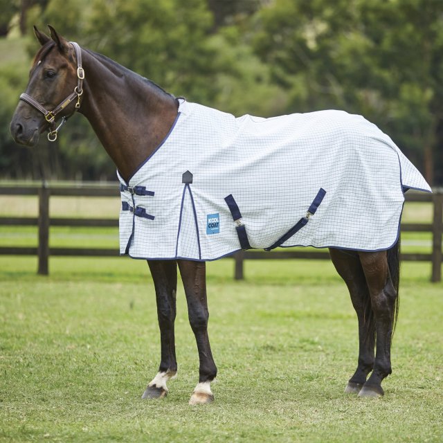 Weatherbeeta Horse Rugs Kool Coat Classic with Surcingles III Standard Neck White/Navy