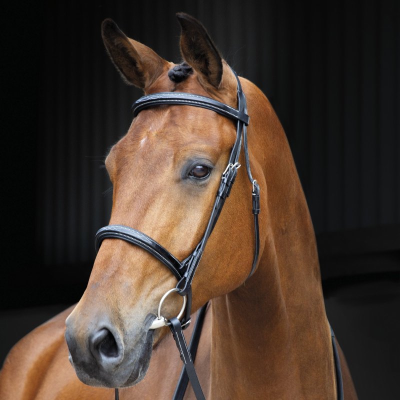 Shires Salisbury Fairford Bridle Shires Salisbury Fairford Bridle
