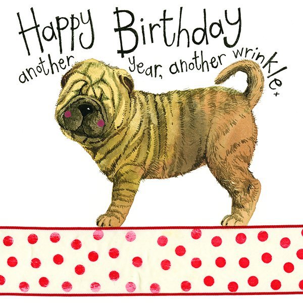 Alex Clark Alex Clark Wrinkles Birthday Card