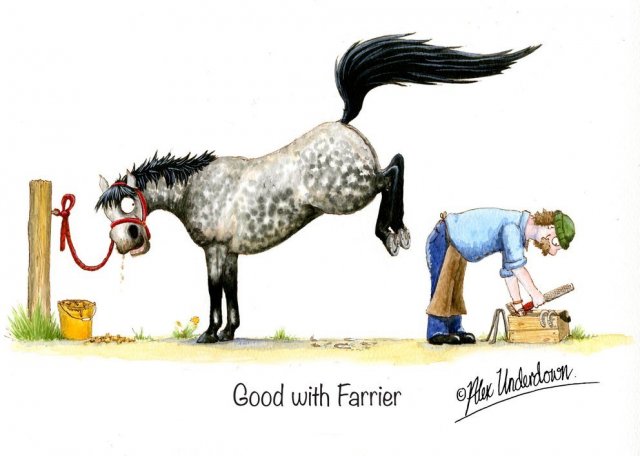 Alex Underdown Good With Farrier