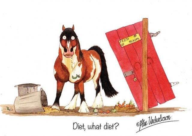 Alex Underdown Diet  What Diet?