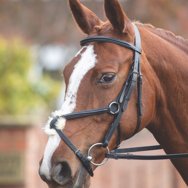 Velociti Gara Gara Mexican Bridle