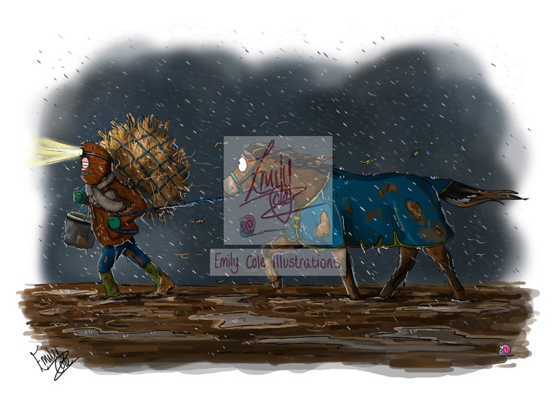 Emily Cole Soldiering on Greeting Card Emily Cole Soldiering on Greeting Card