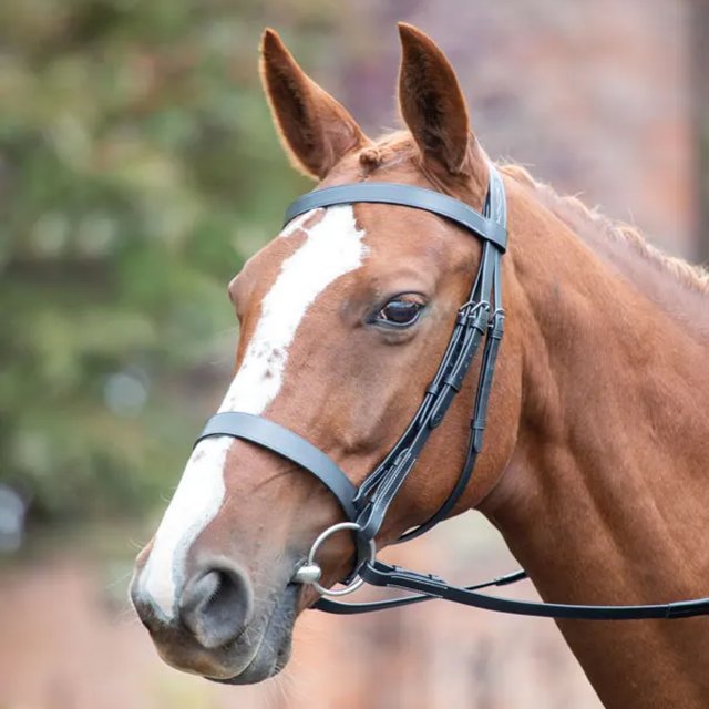 Avignon Leatherwork Avignon Hunter Cavesson Bridle