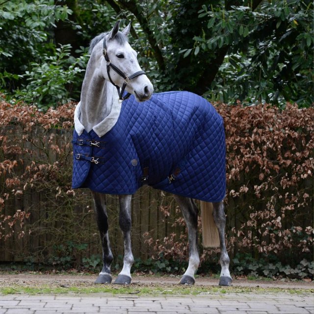 Weatherbeeta Horse Rugs WeatherBeeta ComFiTec Deluxe Diamond Quilt Standard Neck Medium