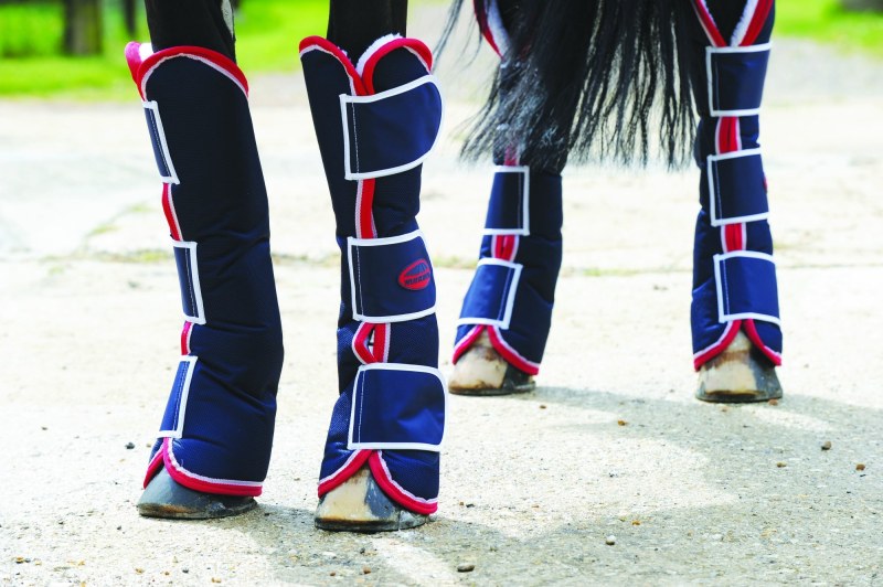 Weatherbeeta Navy/Red Travel Boots Weatherbeeta Navy/Red Travel Boots