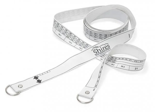 Shires Shires Horse and Pony Weighband