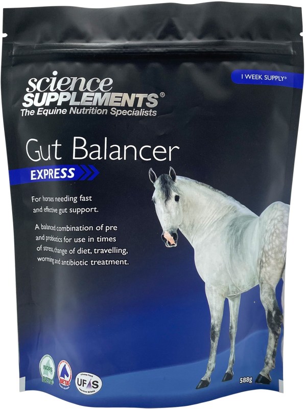 Science Supplements Gut Balancer Express Science Supplements Gut Balancer Express