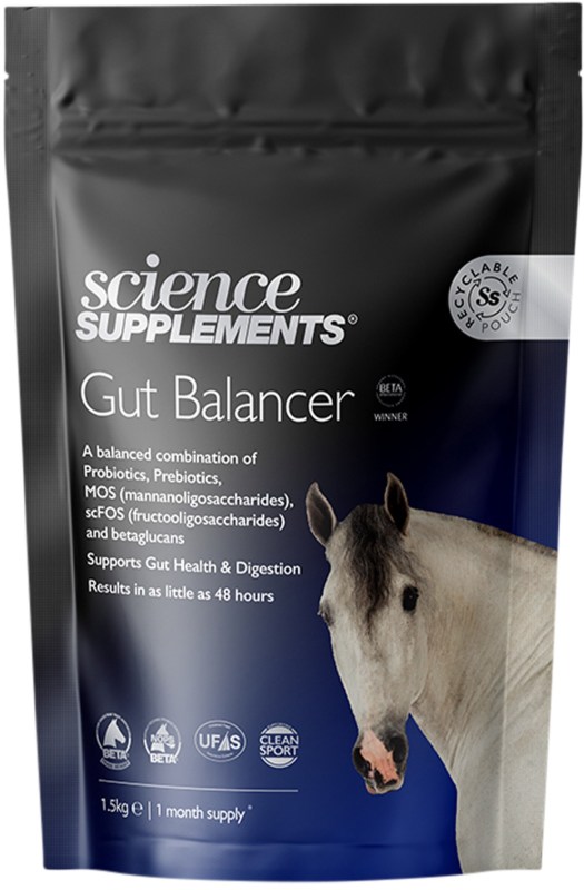 Science Supplements Gut Balancer Science Supplements Gut Balancer