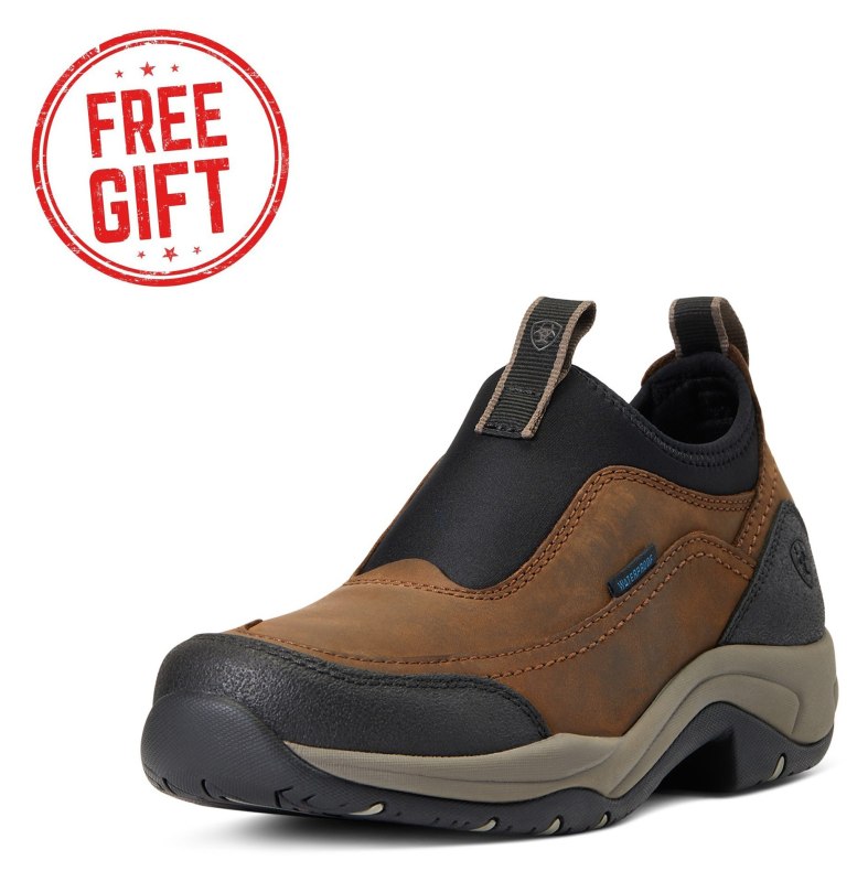 Ariat Womens Terrain Ease Waterproof Boots  Ariat Womens Terrain Ease Waterproof Boots