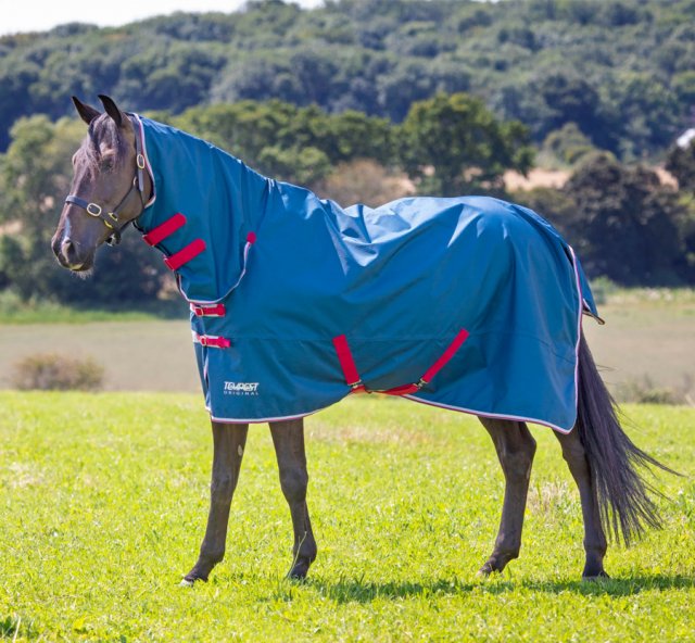 Shires Shires Tempest Original Lite Combo Turnout Rug Teal