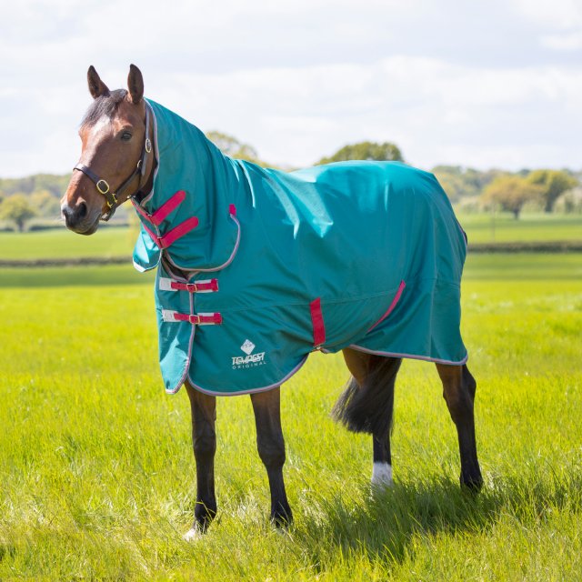 Shires Shires Tempest Original Air Motion Combo Turnout Rug