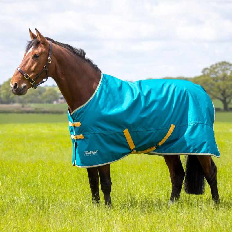 Shires Tempest Original 50 Turnout Rug Blue   Shires Tempest Original 50 Turnout Rug Blue