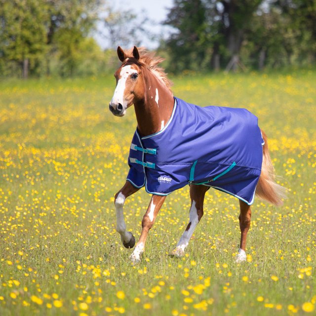 Shires Shires Tempest Original 100 Turnout Rug Navy