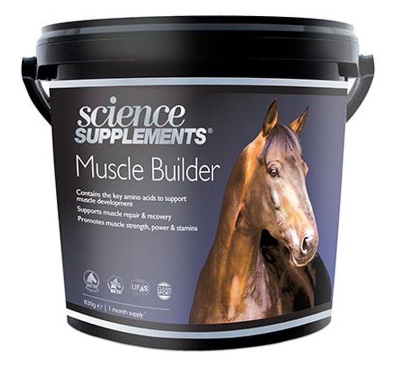 Science Supplements Muscle Builder Science Supplements Muscle Builder