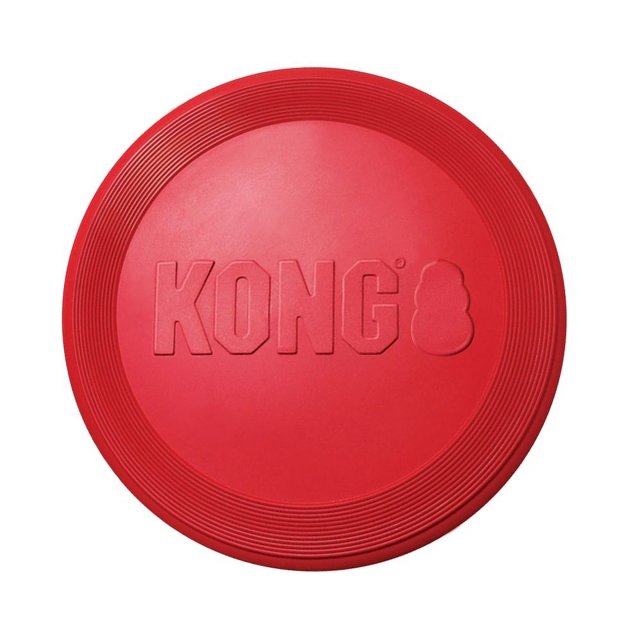 KONG KONG Flyer