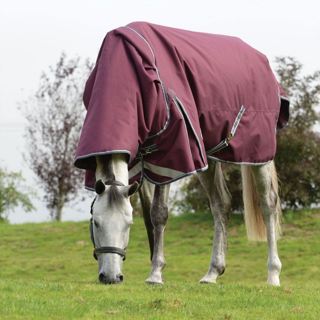 Weatherbeeta Horse Rugs WeatherBeeta ComFiTec Plus Dynamic II Detach a Neck Lite Maroon Turnout Rug