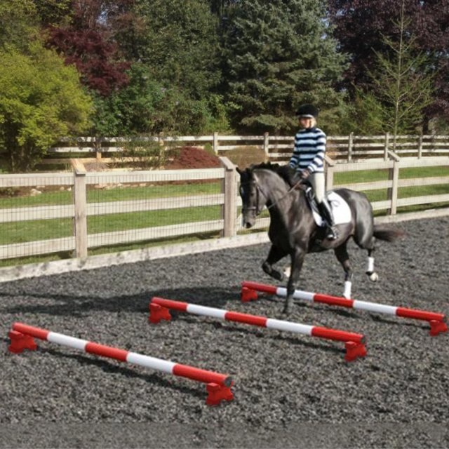 PolyJumps PolyJumps Mini Blocks & 5 Band Poles | Red Combo Set