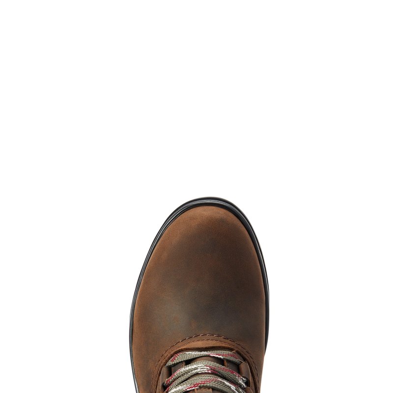 Ariat chukka sales boots womens