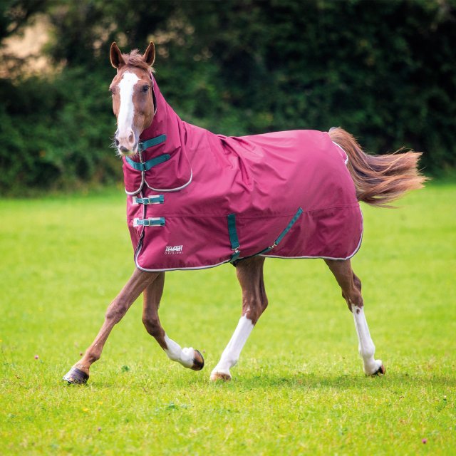 Shires Tempest Original 200 Combo Turnout Rug Maroon