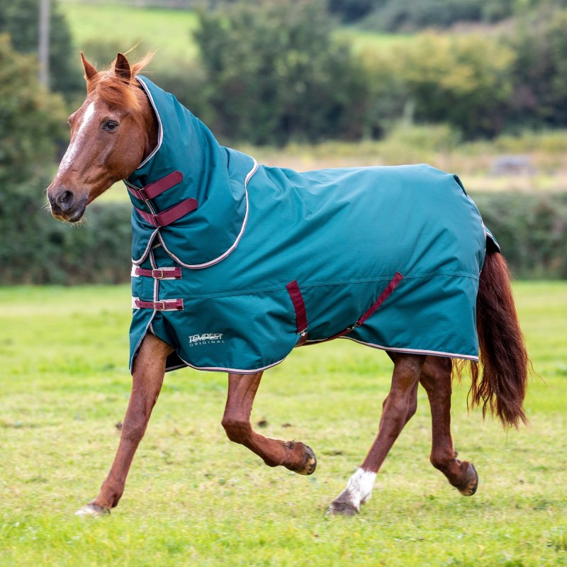 Shires Tempest Original 200 Turnout Rug & Neck Set Green Shires Tempest Original 200 Turnout Rug & Neck Set Green