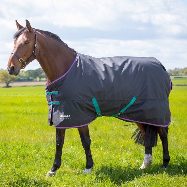 Shires Shires Tempest Original 300 Turnout Rug Black