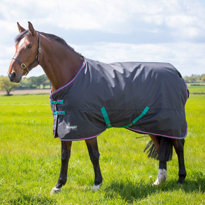 Shires Tempest Original 300 Turnout Rug Black Shires Tempest Original 300 Turnout Rug Black