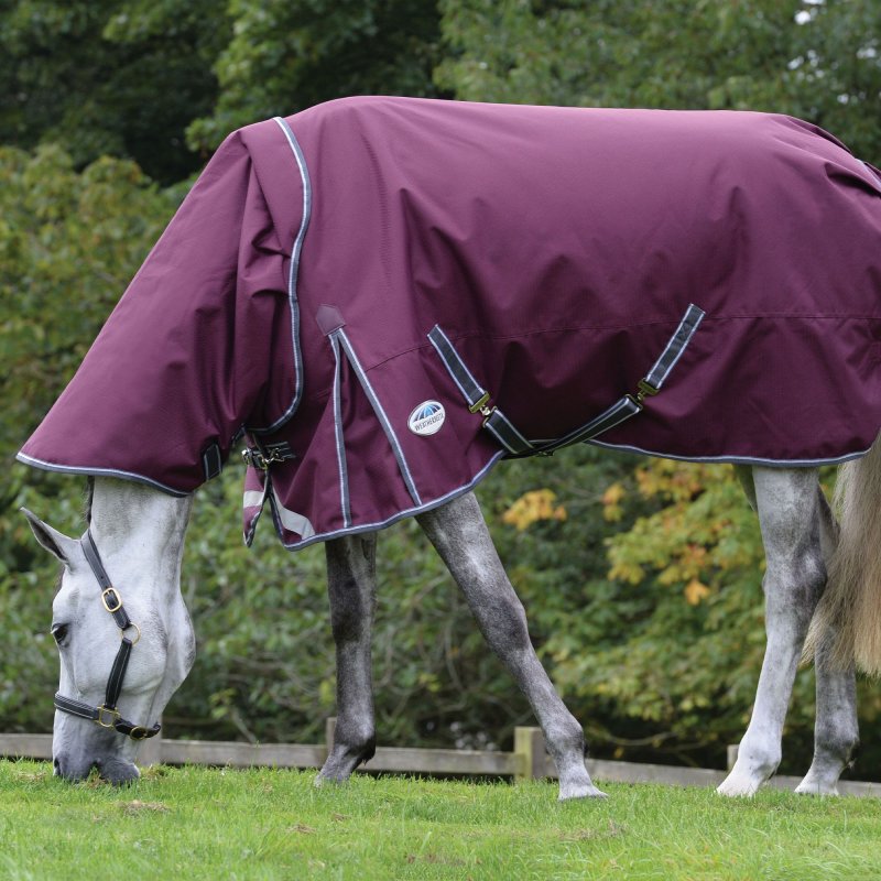 Weatherbeeta Horse Rugs WeatherBeeta ComFiTec Plus Dynamic II Detach a Neck Maroon Medium/Lite