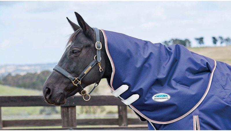 WeatherBeeta ComFiTec Essential Neck Rug Lite Navy WeatherBeeta ComFiTec Essential Neck Rug Lite Navy
