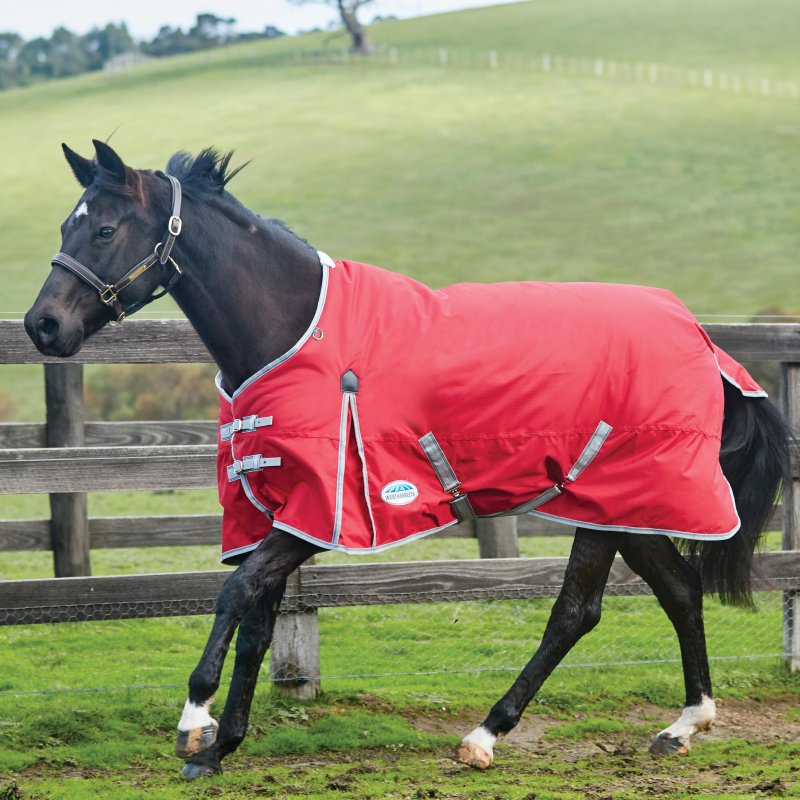 Weatherbeeta Horse Rugs WeatherBeeta ComFiTec Classic Standard Neck Medium/Lite Red Turnout Rug