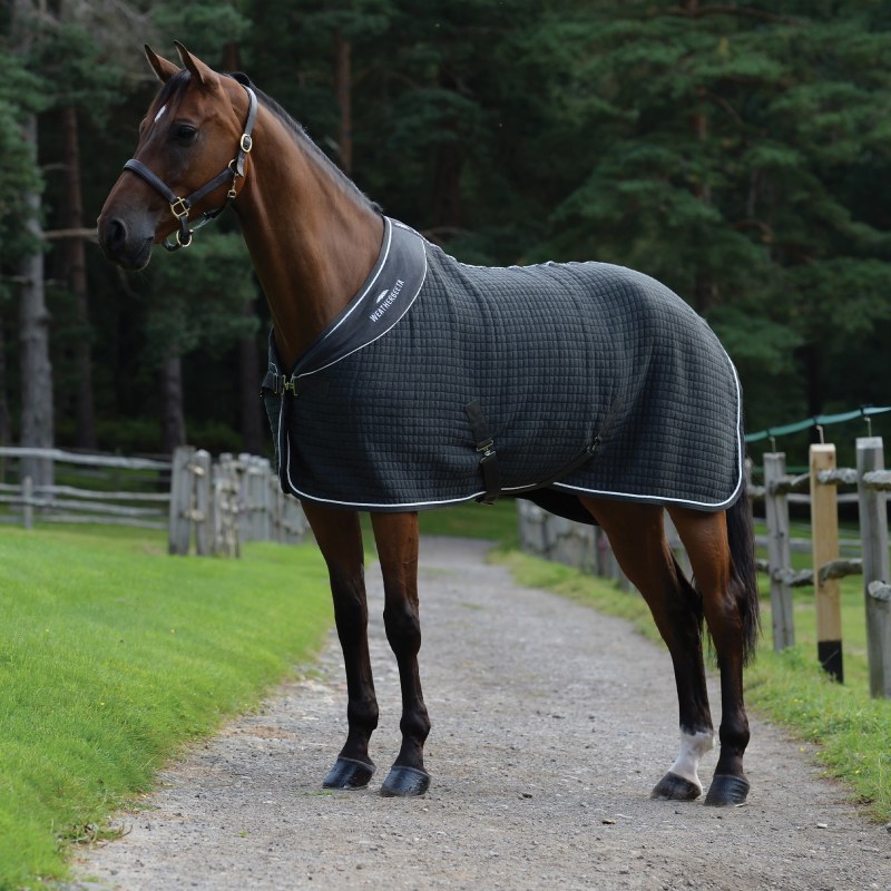 WeatherBeeta Thermocell Cooler Standard Neck Dark Grey Rug WeatherBeeta Thermocell Cooler Standard Neck Dark Grey Rug