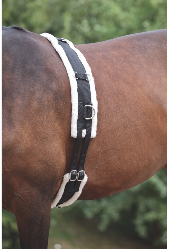 Shires Nylon Lunge Roller with Fleece Padding  Shires Nylon Lunge Roller with Fleece Padding