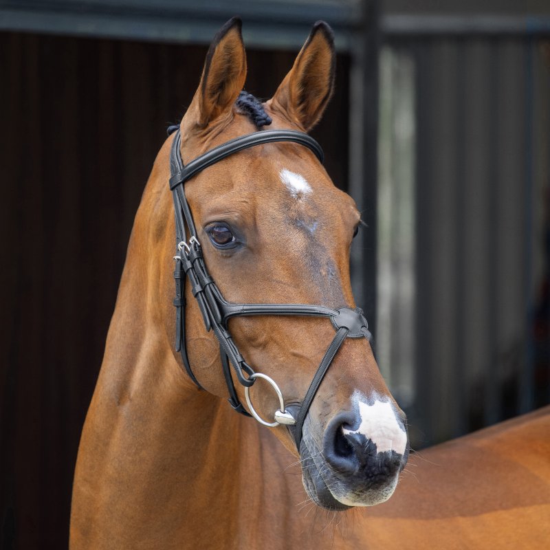 Velociti Lusso Velociti Lusso Grackle Bridle