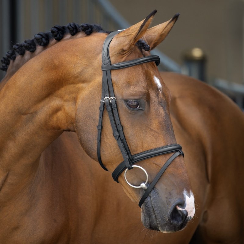 Velociti Lusso Velociti Lusso Padded Raised Flash Bridle