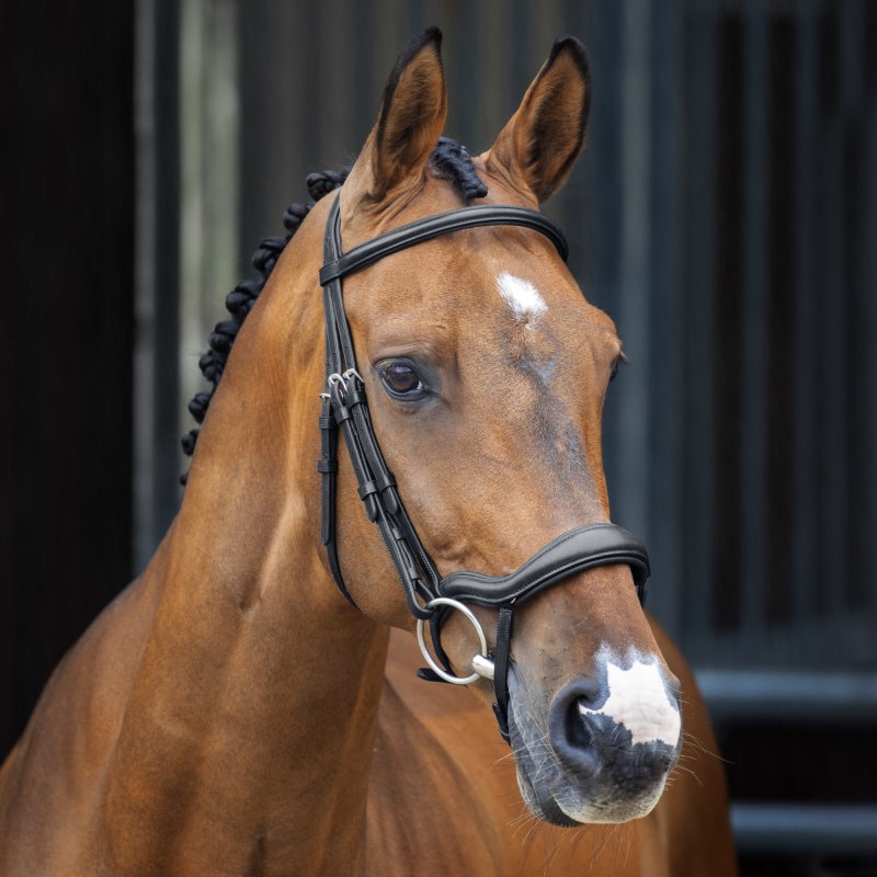 Velociti Lusso Ergonomic Flash Bridle  Velociti Lusso Ergonomic Flash Bridle
