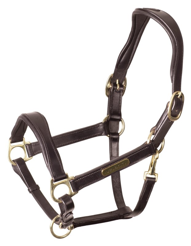 Velociti Rapida Cushioned Leather Headcollar Velociti Rapida Cushioned Leather Headcollar
