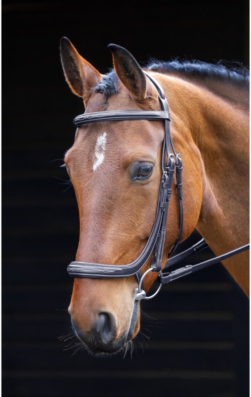 Salisbury Berkeley Bridle Salisbury Berkeley Bridle